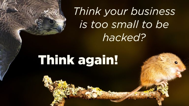 Think Your Business Is Too Small To Be Hacked? Think Again!